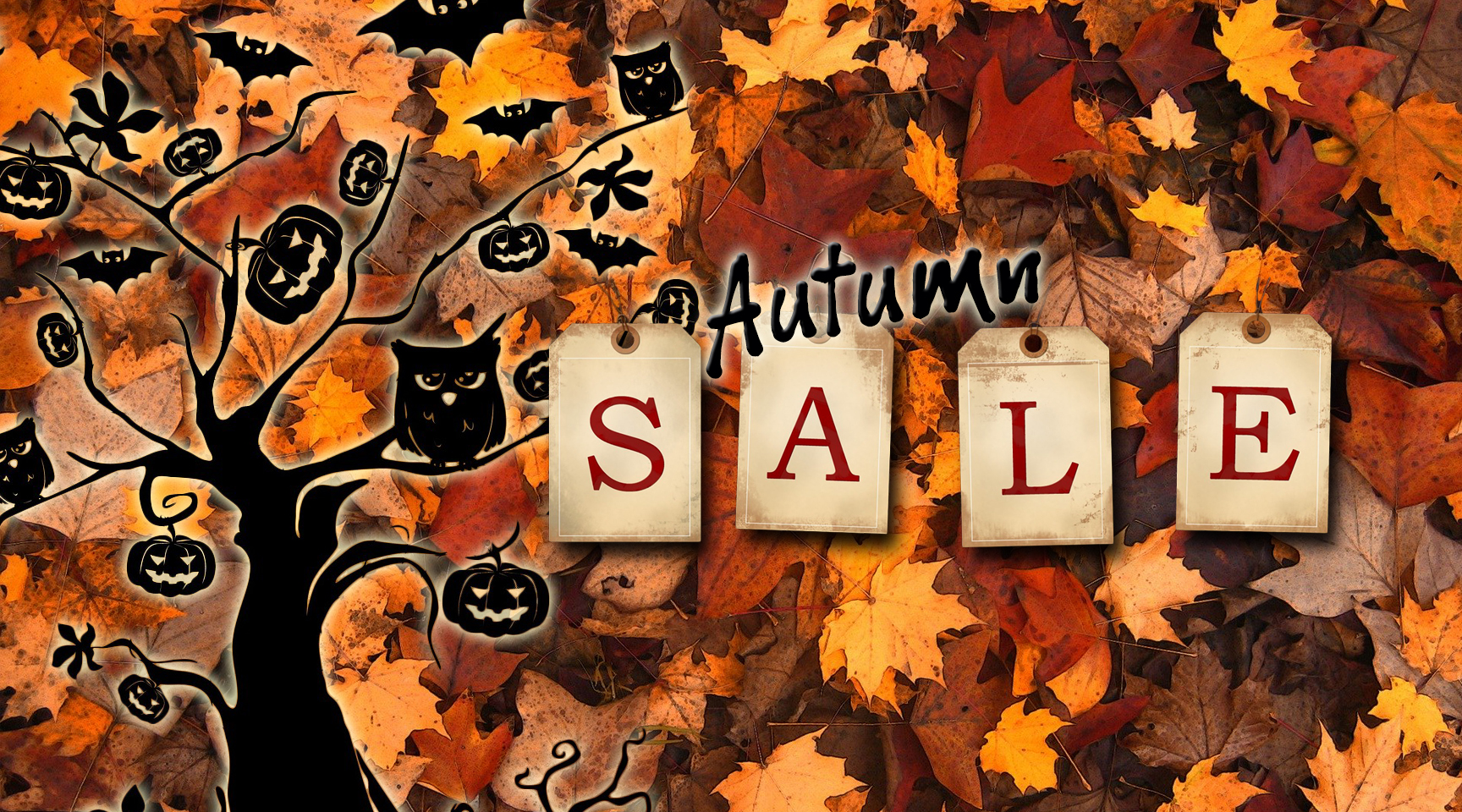 Autumn Sale Now On!